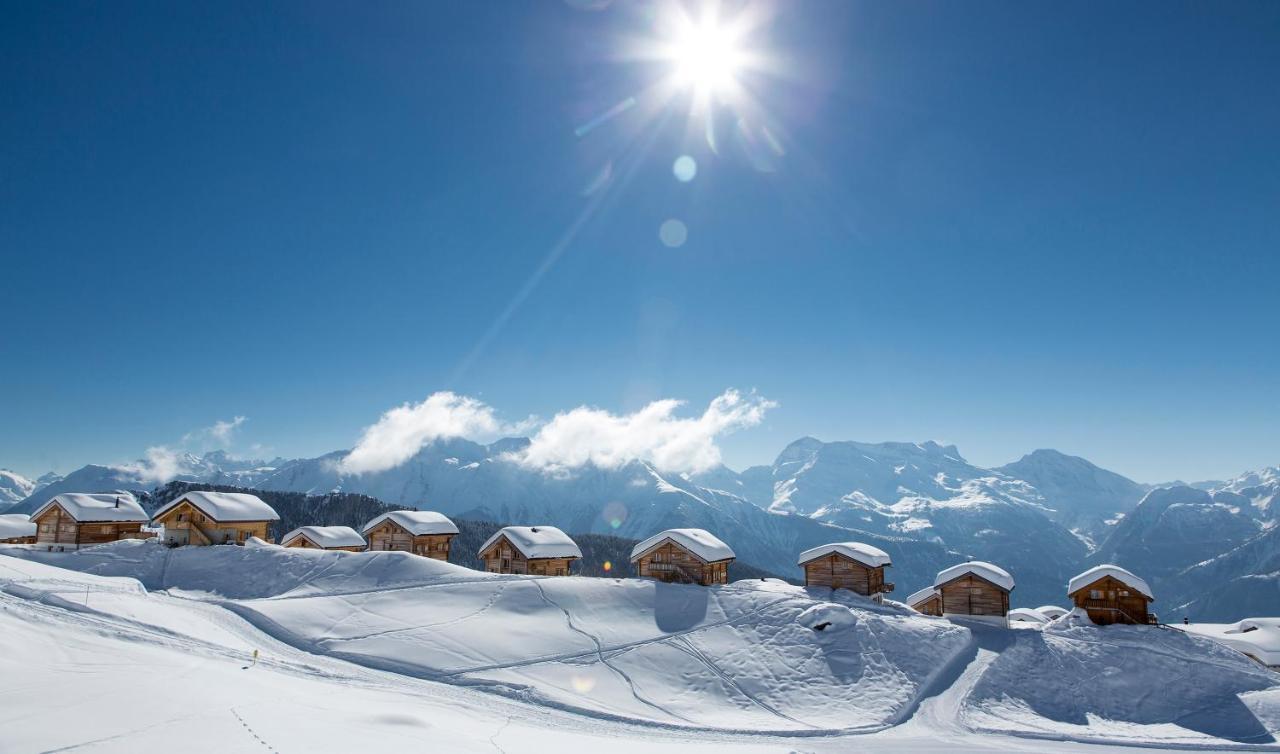 Bergquell Haus D Appartement Blatten bei Naters Buitenkant foto