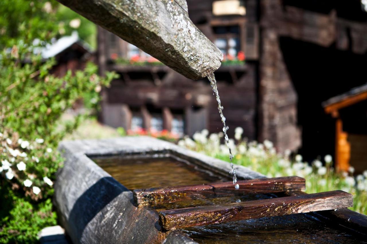 Bergquell Haus D Appartement Blatten bei Naters Buitenkant foto